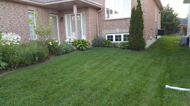 Lawncare#4.jpg