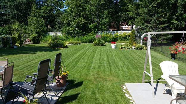 Lawncare#5.jpg