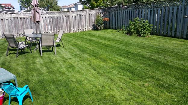 Lawncare#9.jpg