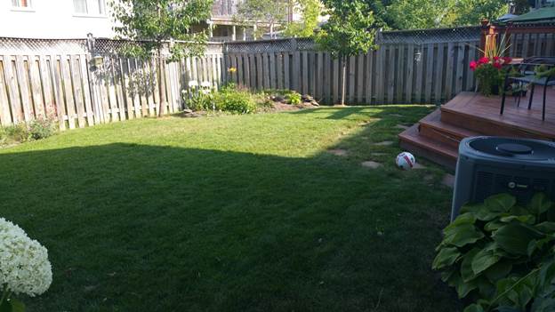 Lawncare#10.jpg