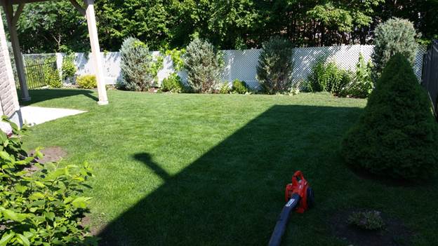 Lawncare#12.jpg