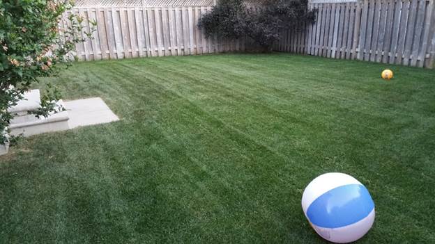 Lawncare#19.jpg